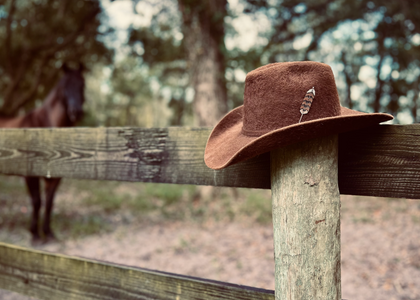 Beaded Feather Hat Pins